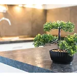 Olive Tree Split
