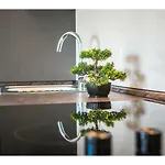 Olive Tree Appartement *