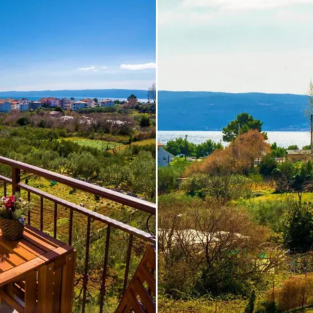 Olive Tree Apartment Split