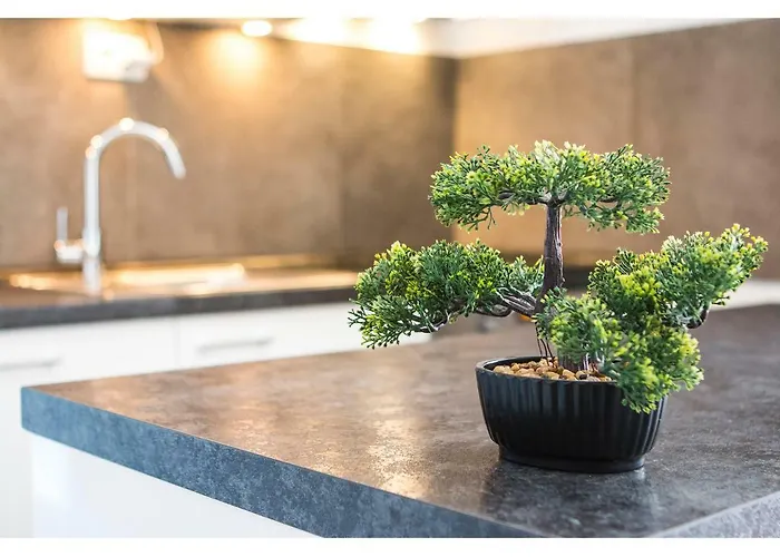 Olive Tree Сплит