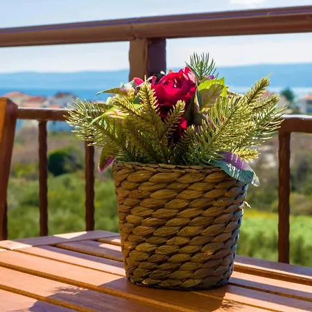 Olive Tree Apartman Split