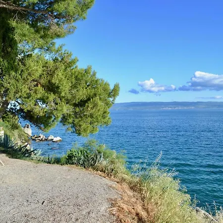 Olive Tree Apartman *