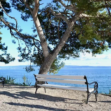 Olive Tree Apartman