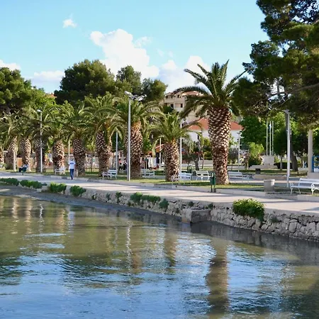 Apartman Olive Tree