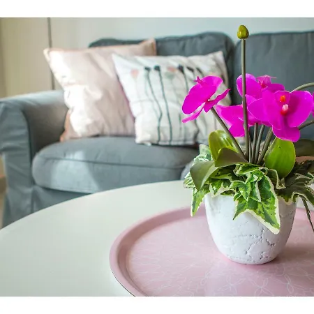 Апартаменты Olive Tree *