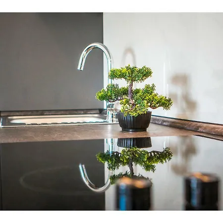 Olive Tree Lejlighed *