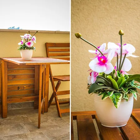 Апартаменты Olive Tree *