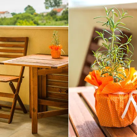 Olive Tree Lejlighed *