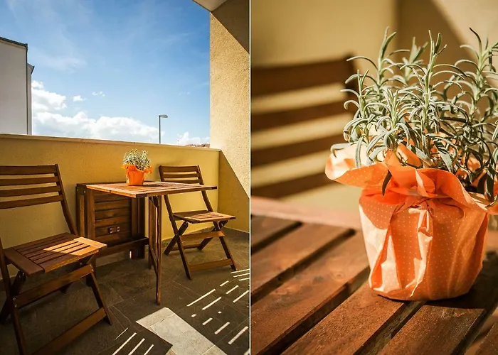 Appartement Olive Tree