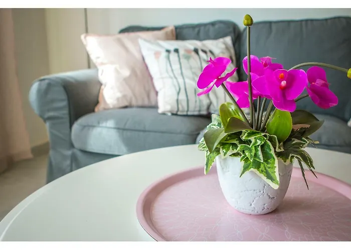 Appartement Olive Tree *