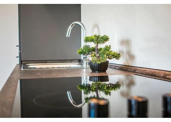 Olive Tree Appartement *