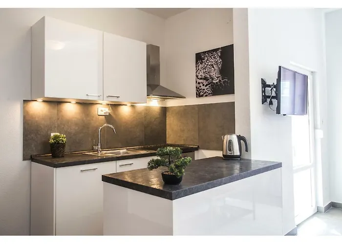 Olive Tree Apartament *