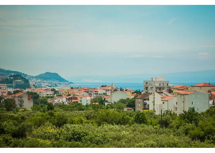 Apartament Olive Tree *