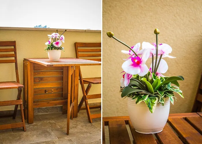 Apartament Olive Tree *