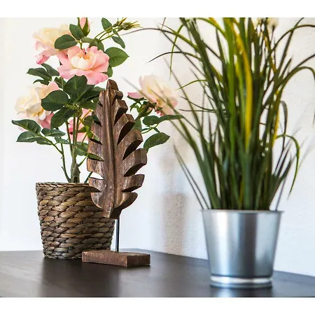 Olive Tree * スプリト