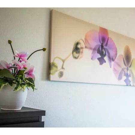 Olive Tree スプリト